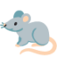 :rat: